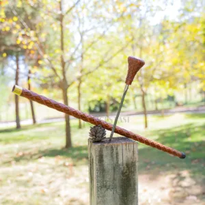 topuz başlı baston