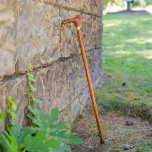 Baston fiyatları ve modelleri, baston kılıç